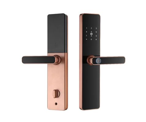 S819 Serrature intelligenti per impronte digitali Zigbee Serrature biometriche per casa