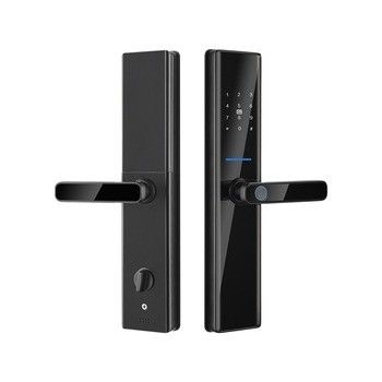 Serrature a impronte digitali biometriche nere Tuya TTlock Serrature elettroniche digitali