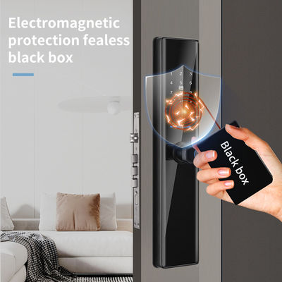 Tuya Zigbee impronta digitale chiave senza serratura porta intelligente anti furto serratura digitale porta