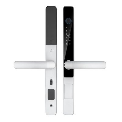 IP65 impermeabile Smart Tuya Wifi telecomando TTlock App Digital Door Lock