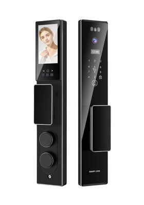 Riconoscimento facciale Chiusura porta batteria ricaricabile Tuya App con videochiamata