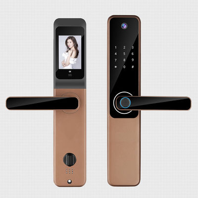 Cloud Storage Weather Proof Smart Lock Serrature elettroniche senza fili per case