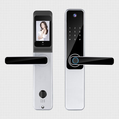 Aluminio Tuya Smart Fingerprint Lock Nero Camera d'albergo Serrature elettroniche