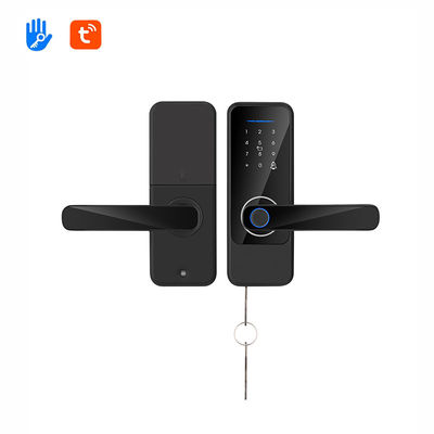 Tuya App Blocco di password elettronica Wifi Biometrico Blocco di porta per la casa