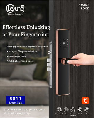 6068 Impronte digitali Mortise Chiusura porta Tuya TTlock Wifi APP Opzionale