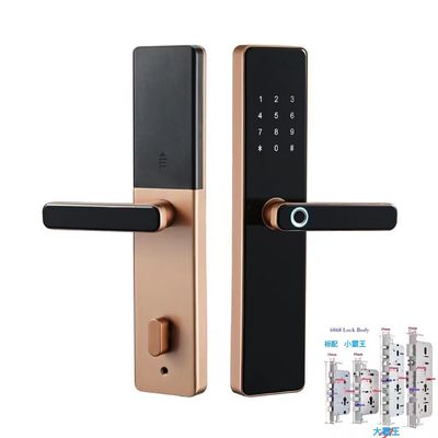 6068 Mortise TTlock Wifi Tuya Porte chiuse con impronte digitali e password