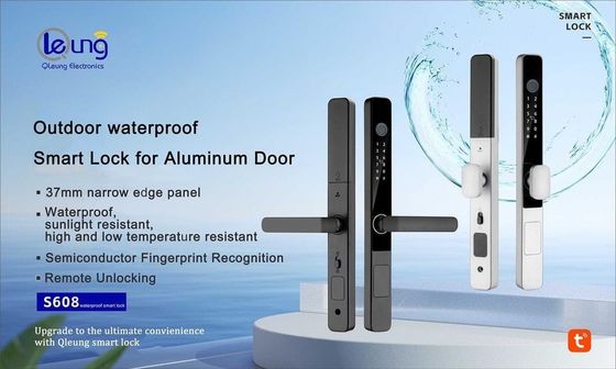 IP65 Chiusura impermeabile per impronte digitali Nero argento Chiusura per porta a porta