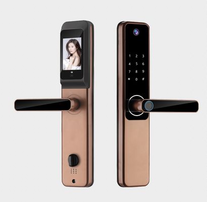 Telecamera di alta sicurezza smart lock nero argento per casa appartamento