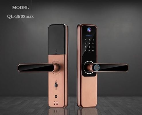 Serratura per porta con batteria alcalina resistente Tuya Bluetooth