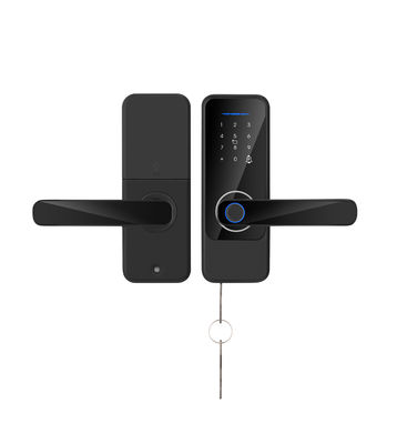 S810 Blocco impronte digitali intelligenti chiavi Wi-Fi Blocco porta semplice Tuya Blocco impronte digitali TTlock Smart Home Door Lock