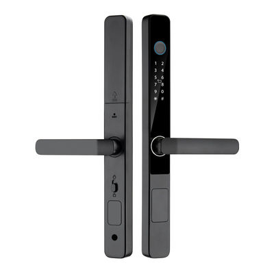 Carta di password digitale esterna IP65 impermeabile a impronte digitali con Tuya TTlock App Remote Unlock Smart Home Door Lock