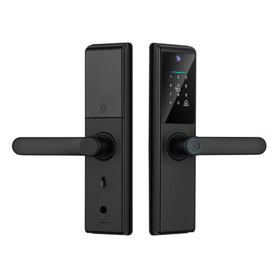 Qleung Tuya Wifi APP Smart Door Knob Remote Control Impressione digitale Codice Carta chiave S821Max Home With Camera
