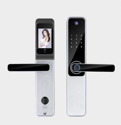 Qleung Tuya Wifi App Camera Blocchi Biometrici Riconoscimento di impronte digitali Codice Carta IC Chiave S802Pro Home