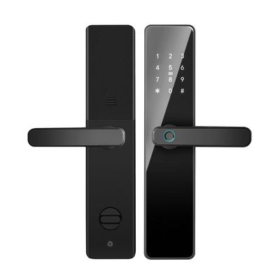 Qleung S819 Porta in alluminio con impronta digitale Wi-Fi abilitata Tuya TTlock con password Key Card per la casa