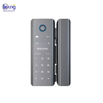 Qleung G9S Tuya Portale Chiusura Cancelletto Carta Password Impronta digitale Chiusura Smart Home Chiusura porta