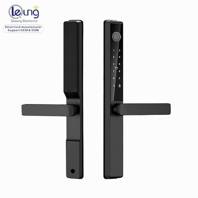 Qleung S960 Blocco porta intelligente impermeabile con 2 anni di garanzia 4 batterie alcaline AA e spessore della porta 30-60mm