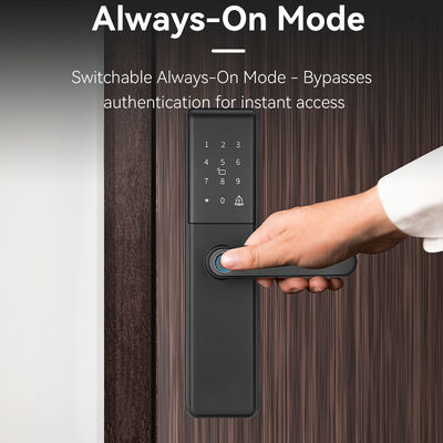 Qleung S851 Tuya Smart Door Lock con Cloud Data Storage Grade B Lock Cylinder e rete Wi-Fi