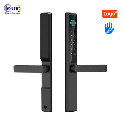 Qleung S960 Impermeabile IP65 Serratura digitale Tuya TTlock Password Card Impronta digitale Serratura per porta Smart Home