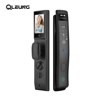 3D Automatic Fingerprint Face Recognition Door Lock Palmprint LCD Display Tuya Video Attivo Chiama WiFi Controllo di accesso Chiusura digitale