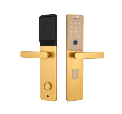 S869 Color oro CNC Slim Plate Facial Recognition Palma vena sbloccare Tuya Porte di blocco