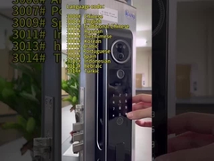 6068 Mortise Aluminum Alloy CNC Smart Wifi Door Lock con interfono a riconoscimento facciale 3D